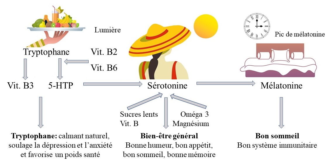 Quoi manger du matin jusqu'au soir pour avoir une bonne mémoire et bien dormir