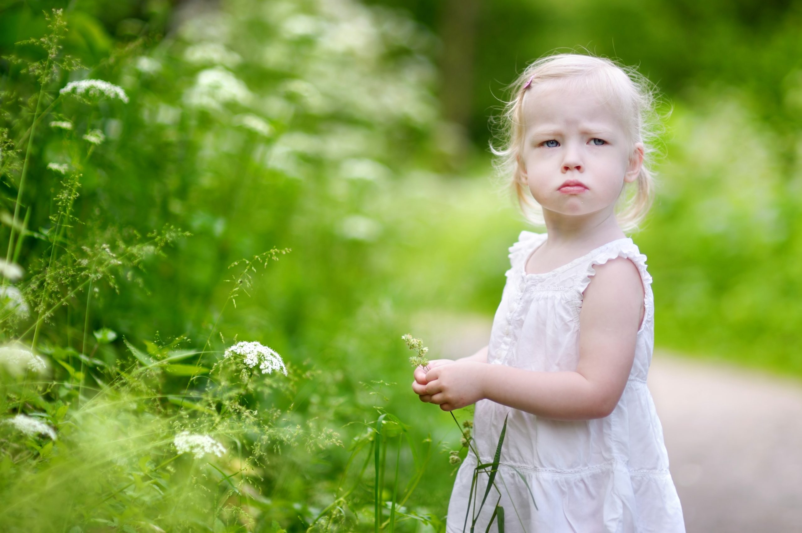 Stratégies pour obtenir tout ce que nous voulons: protection, sécurité, attention, acceptation, affection, réponse positive et rapide à nos besoins et à nos exigences. La colère, par exemple