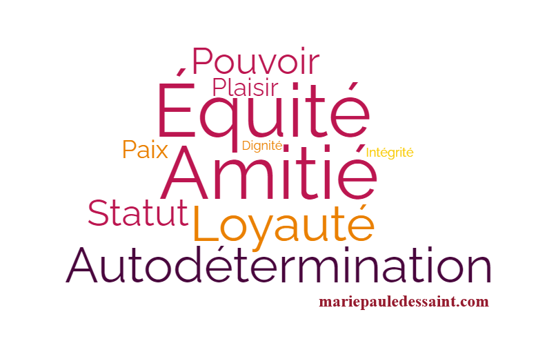 Nos valeurs dominantes, 4 ou 5 sur une quarantaine, orientent nos choix de vie et nos actions. Brimées, mal reçues par les autres, etc., tristesse, colère et dépression sont souvent au rendez-vous